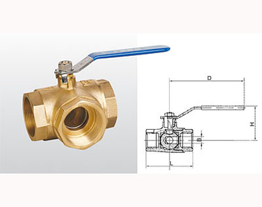 ͷ����ҹ�����¼��ڻ�ͭ��ͨ��(T��)�ṹͼ