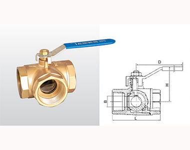 ͷ����ҹ�����¼�����ͨ��(L��)�ṹͼ