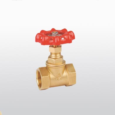 ͷ����ҹ�����¼���309��ͭ��ֹ��