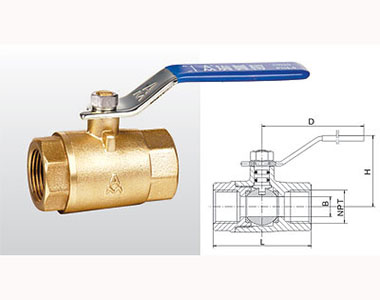 ͷ����ҹ�����¼��ڻ�ͭ��202