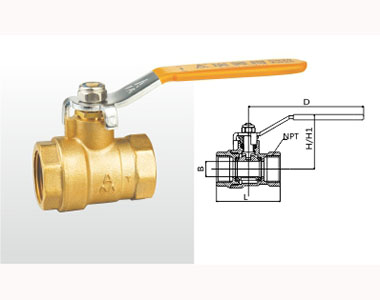 ͷ����ҹ�����¼��ڻ�ͭ��(����)217