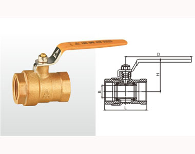 ͷ����ҹ�����¼�����ͭ��286