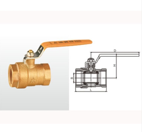 ͷ����ҹ�����¼�����ͭ��