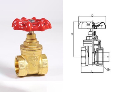 ͷ����ҹ�����¼���169բ��չʾ